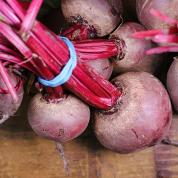 Beets